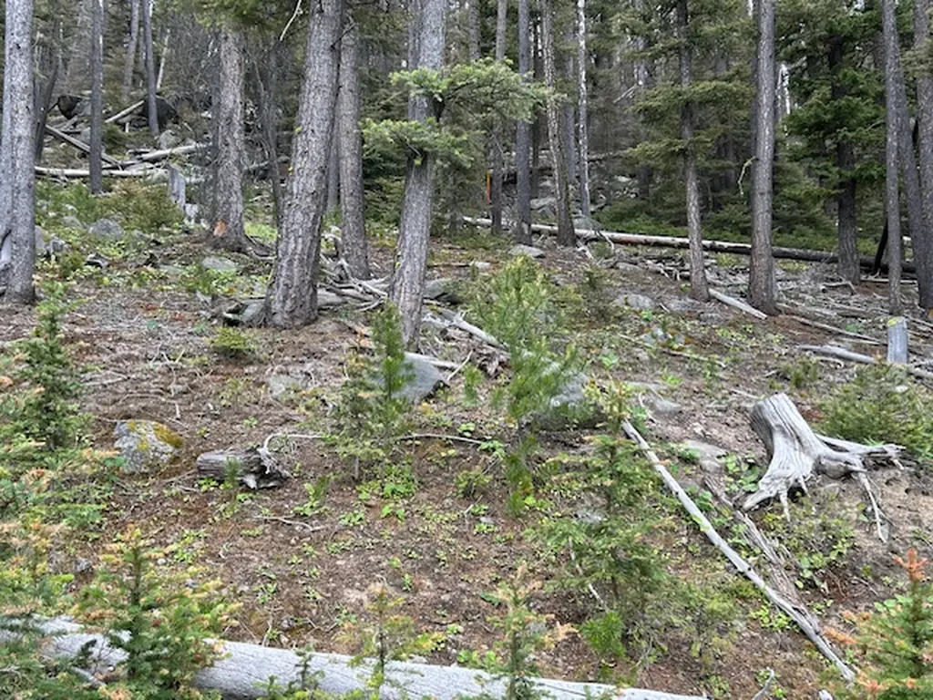 269 Boulder Chief Road Basin MT 59631
