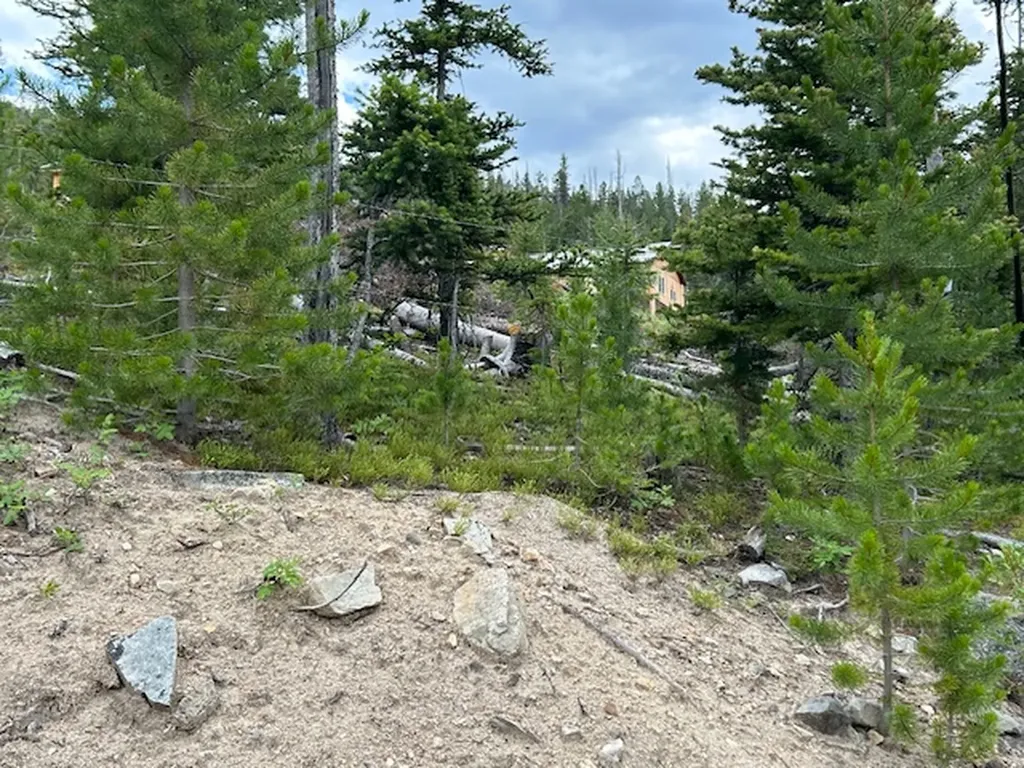 269 Boulder Chief Road Basin MT 59631