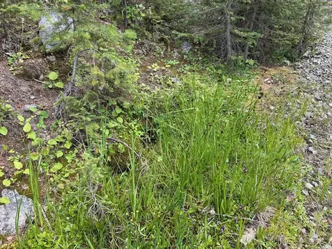 269 Boulder Chief Road Basin MT 59631