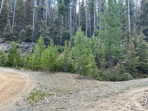 269 Boulder Chief Road Basin MT 59631