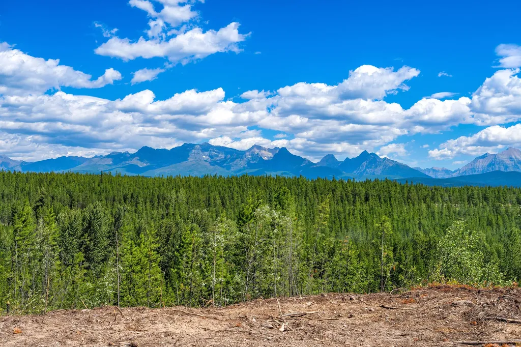 11680 North Fork Road Polebridge MT 59928