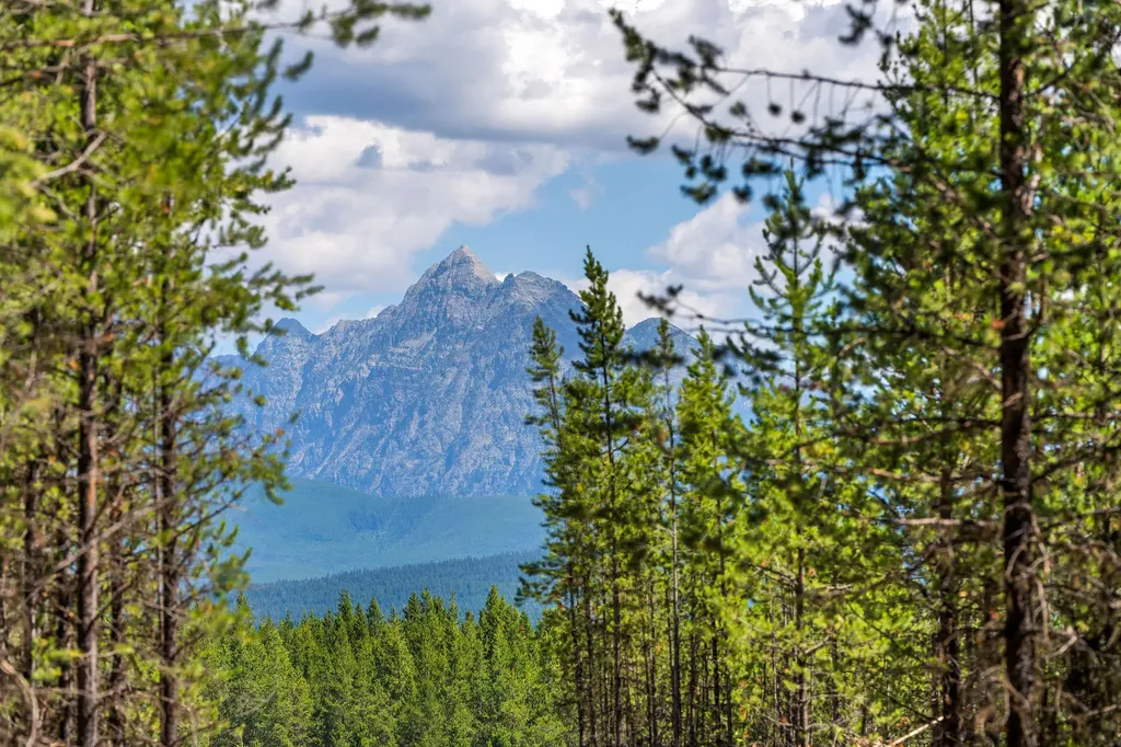 11680 North Fork Road Polebridge MT 59928