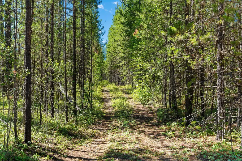 11680 North Fork Road Polebridge MT 59928