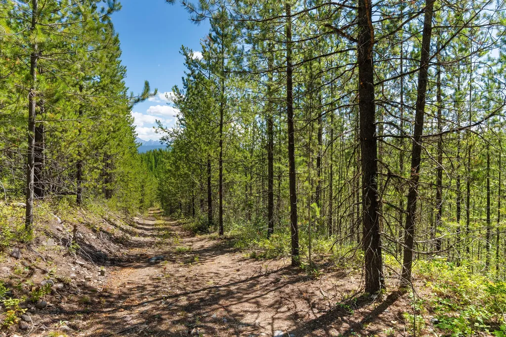 11680 North Fork Road Polebridge MT 59928