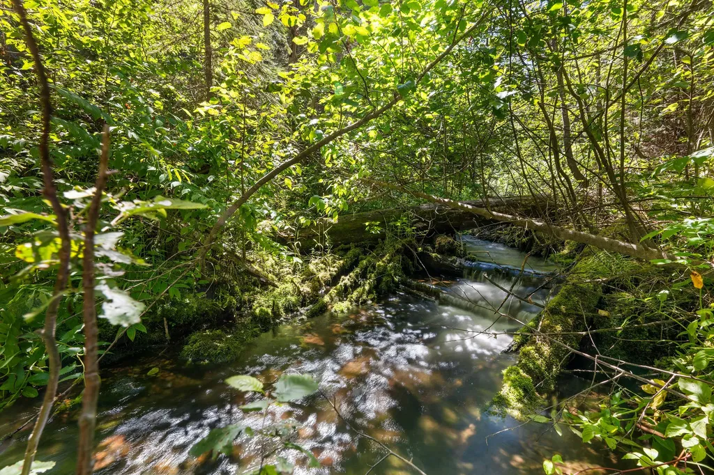 11680 North Fork Road Polebridge MT 59928