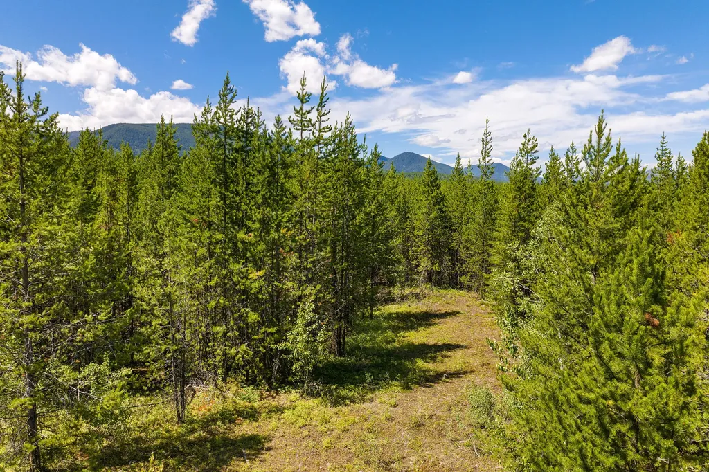 11680 North Fork Road Polebridge MT 59928