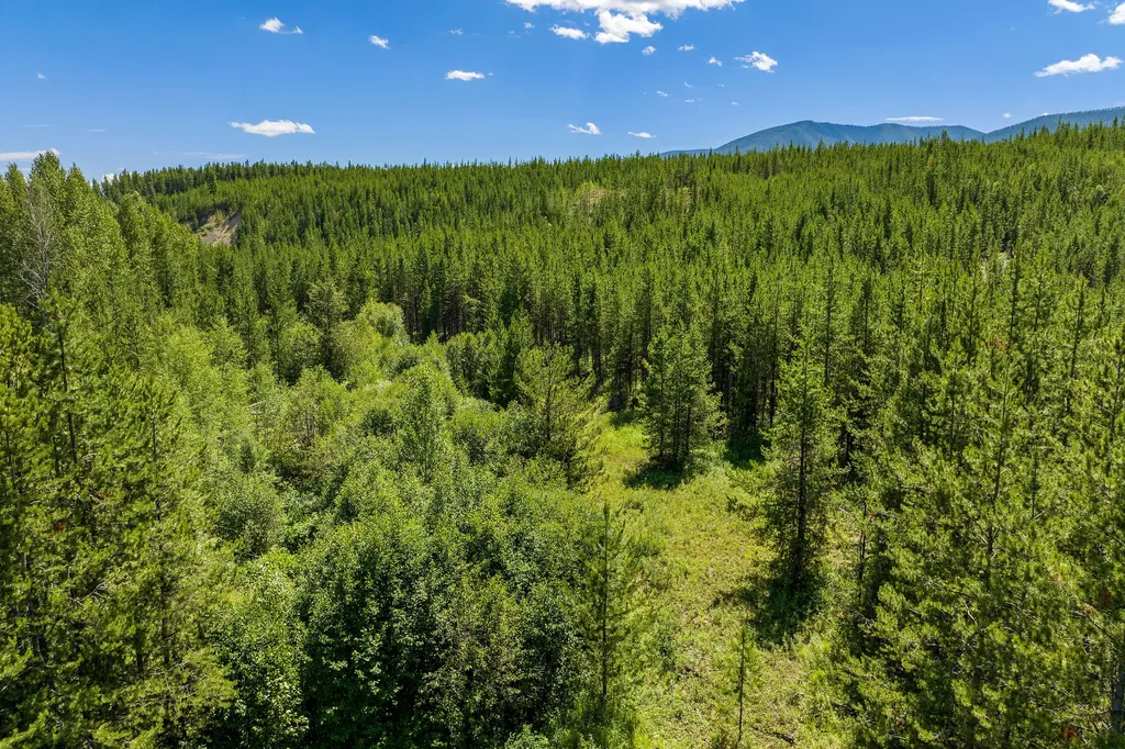 11680 North Fork Road Polebridge MT 59928