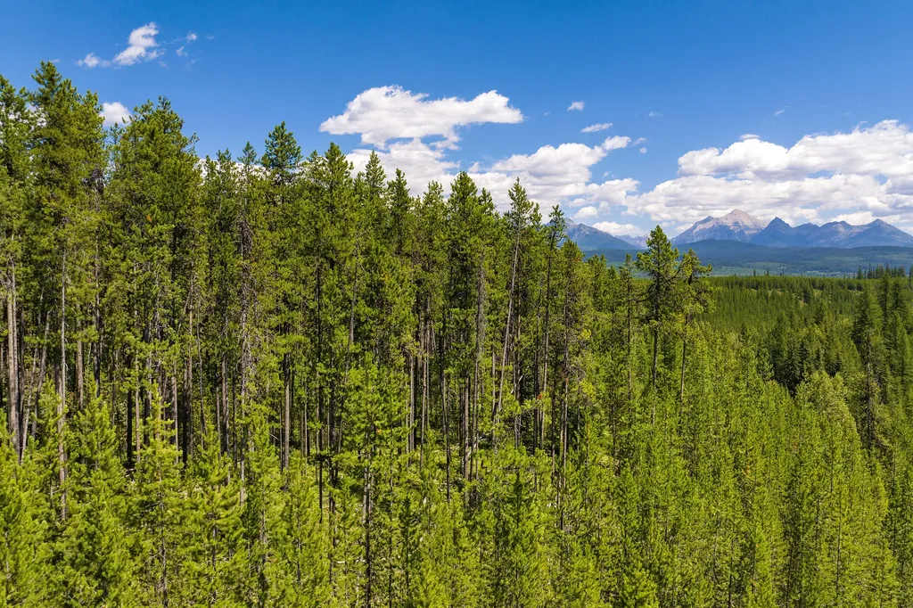 11680 North Fork Road Polebridge MT 59928