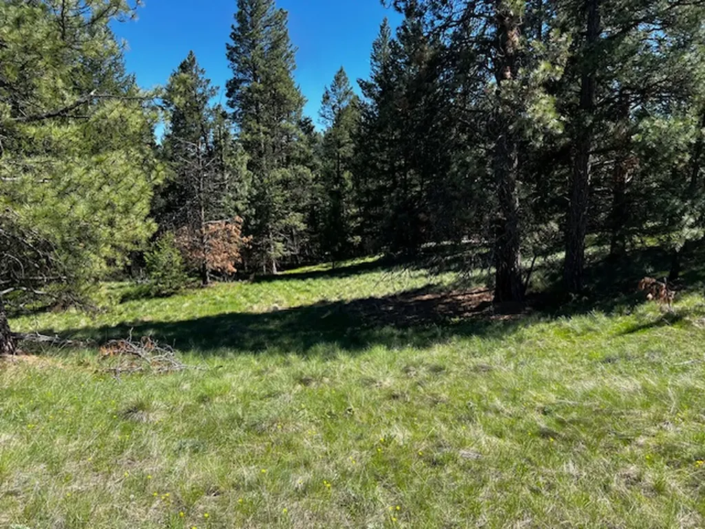 400 & 406 Orchard Ridge Road Kalispell MT 59901