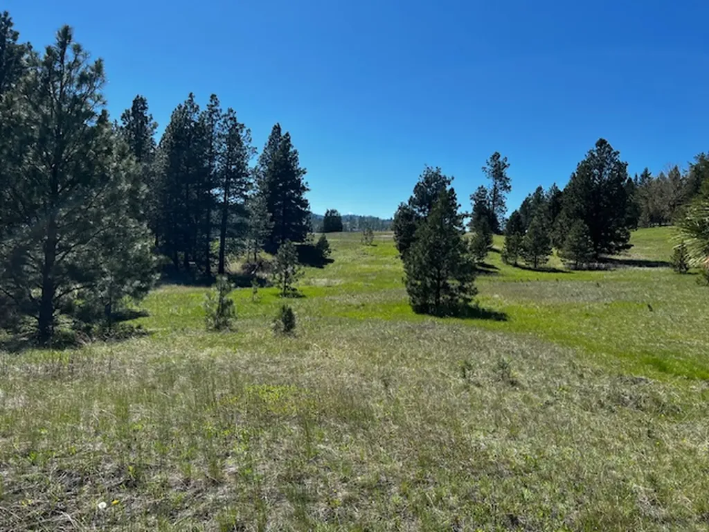 400 & 406 Orchard Ridge Road Kalispell MT 59901