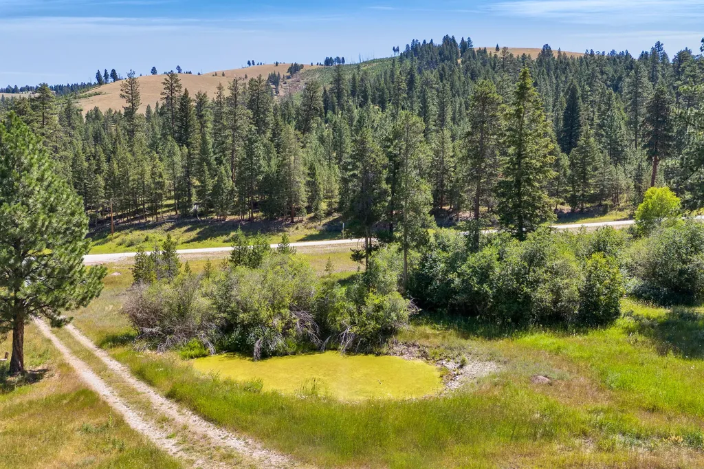 8131 Us Highway 93 S Sula MT 59871