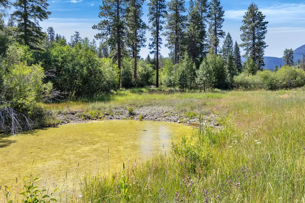 8131 Us Highway 93 S Sula MT 59871