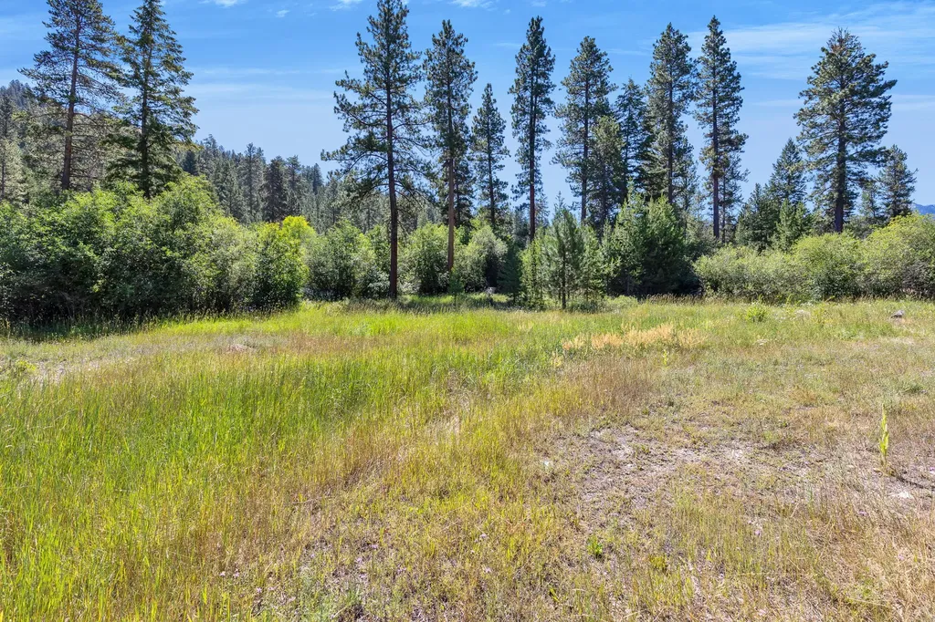 8131 Us Highway 93 S Sula MT 59871