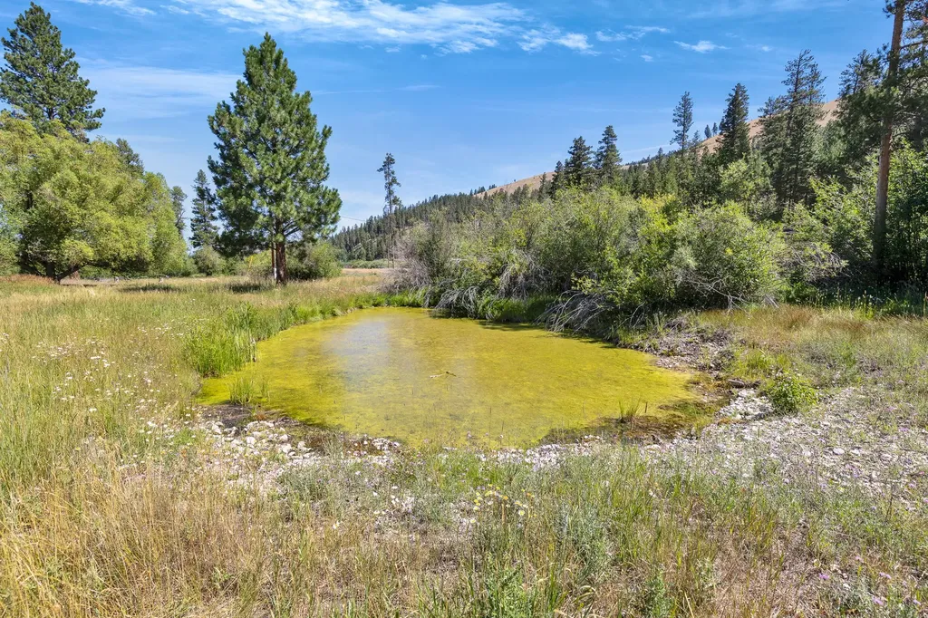 8131 Us Highway 93 S Sula MT 59871