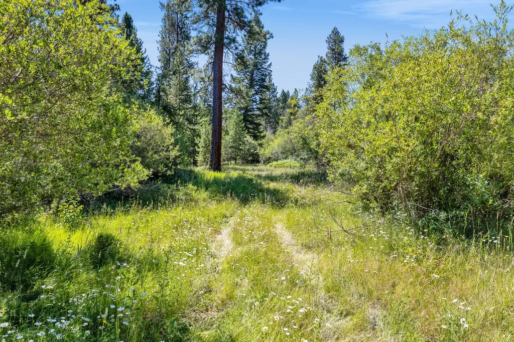8131 Us Highway 93 S Sula MT 59871