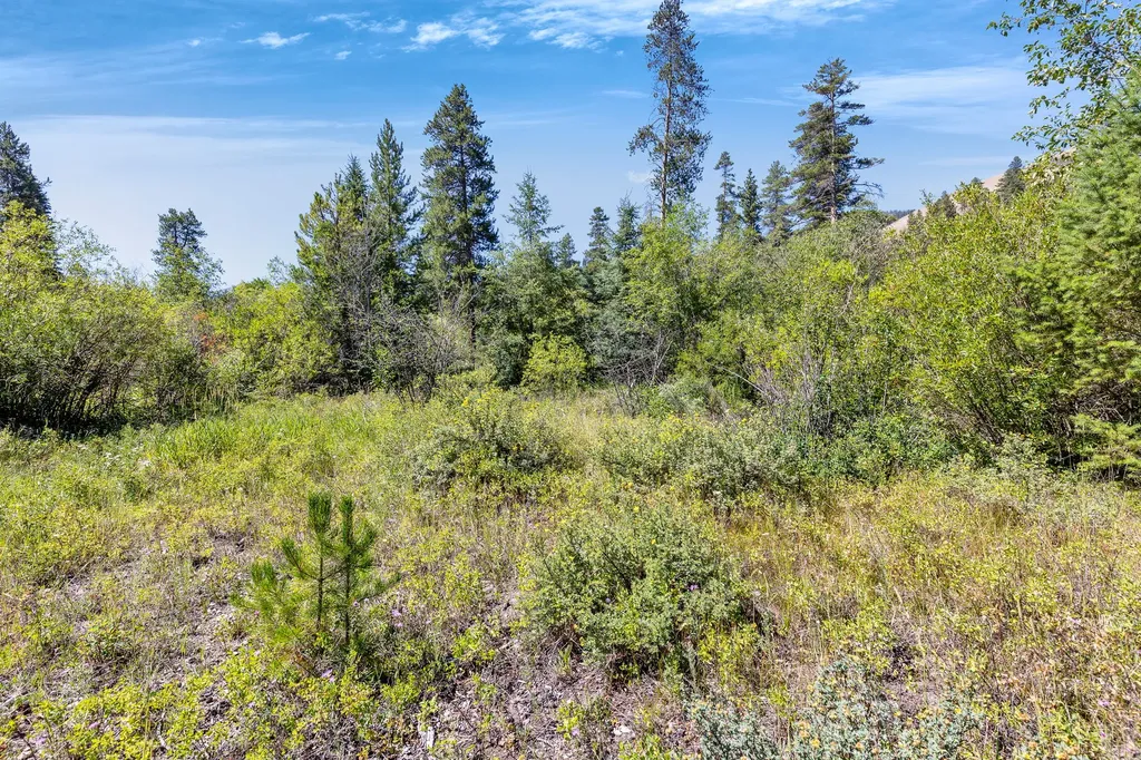 8131 Us Highway 93 S Sula MT 59871