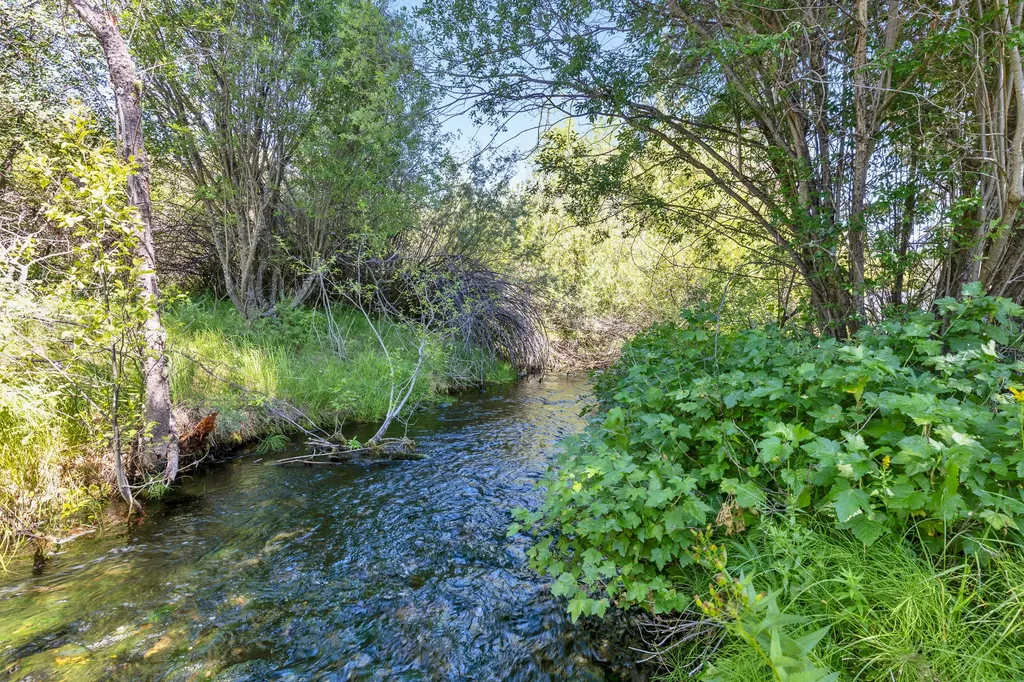 8131 Us Highway 93 S Sula MT 59871