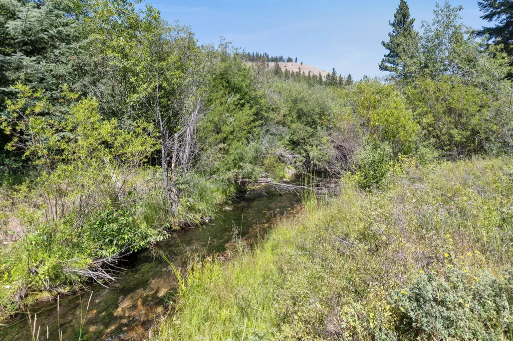 8131 Us Highway 93 S Sula MT 59871