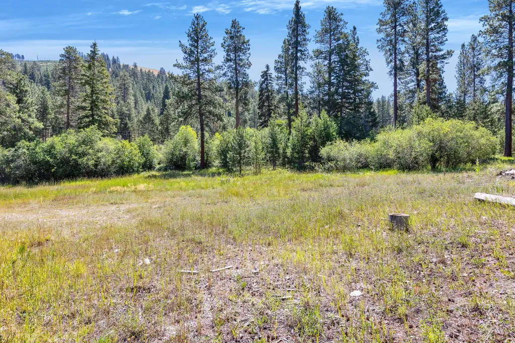 8131 Us Highway 93 S Sula MT 59871