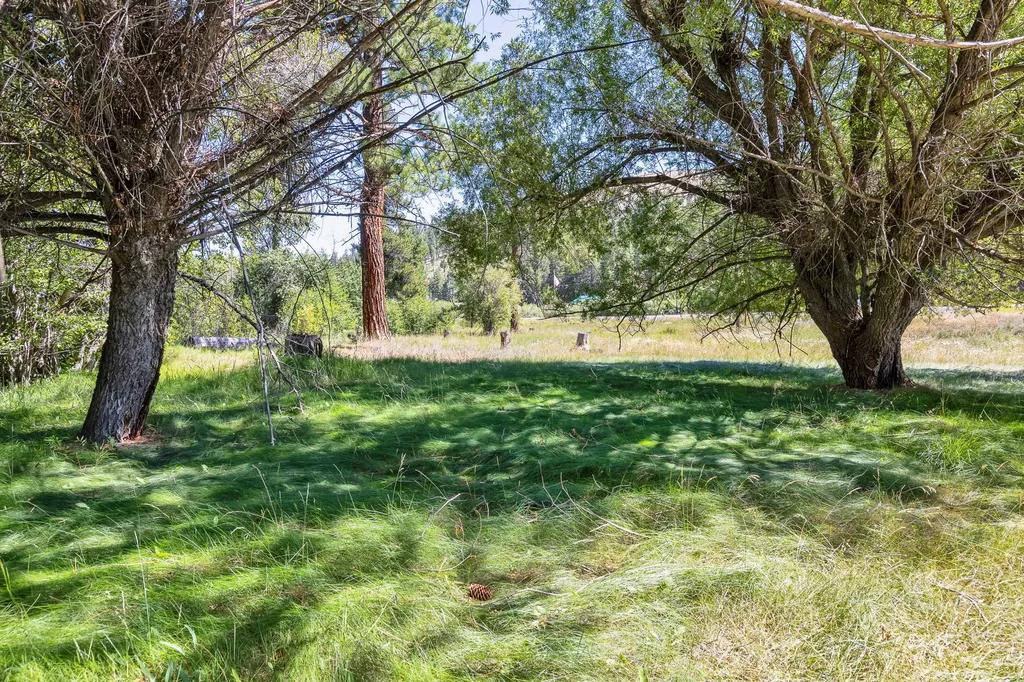 8131 Us Highway 93 S Sula MT 59871