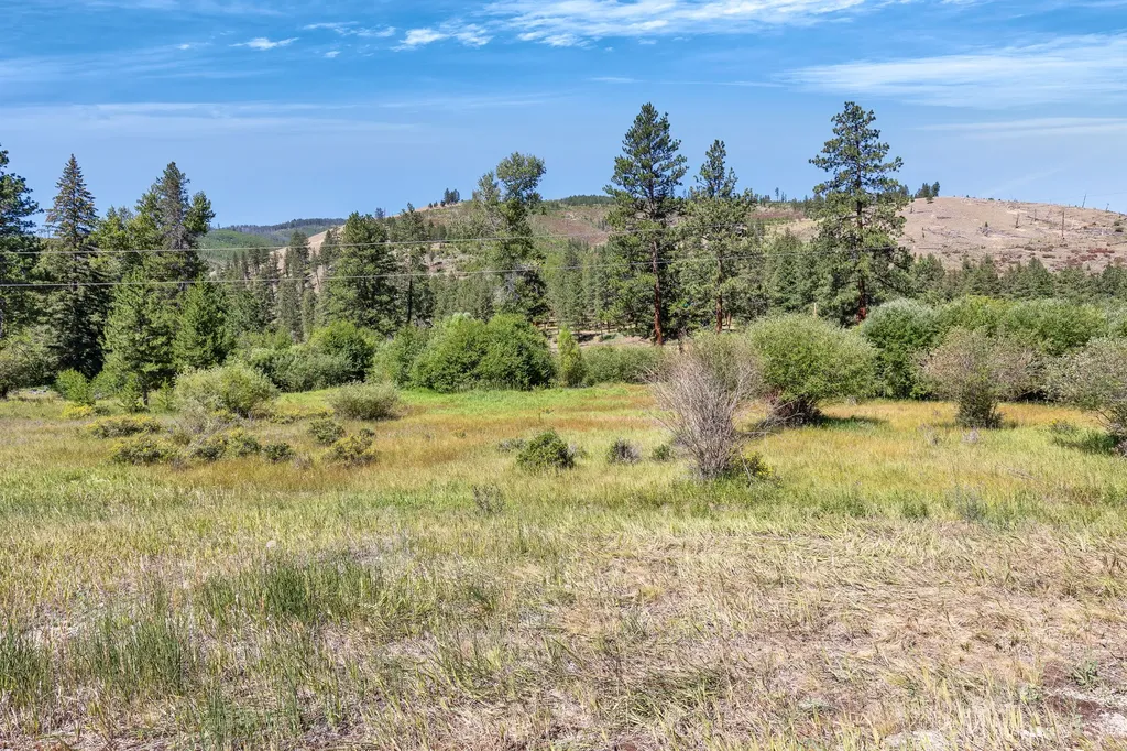8131 Us Highway 93 S Sula MT 59871