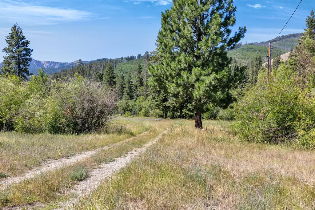 8131 Us Highway 93 S Sula MT 59871