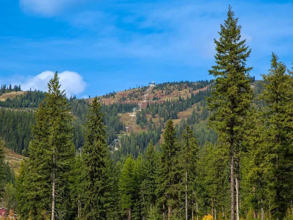 323 Haskill Creek Way Whitefish MT 59937