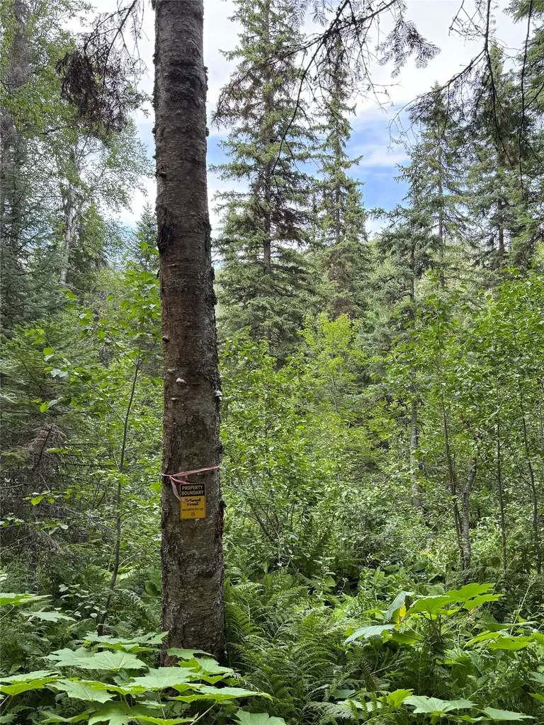 88 Abbey Road Whitefish MT 59937