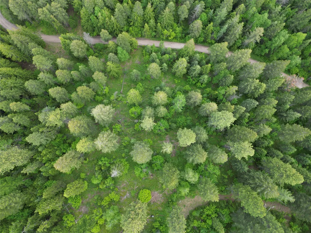 88 Abbey Road Whitefish MT 59937