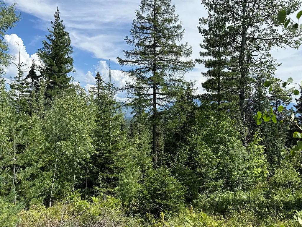 88 Abbey Road Whitefish MT 59937
