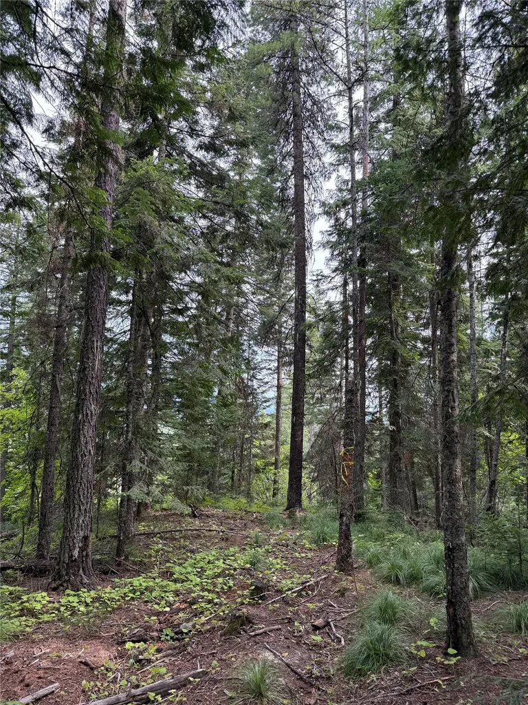 88 Abbey Road Whitefish MT 59937