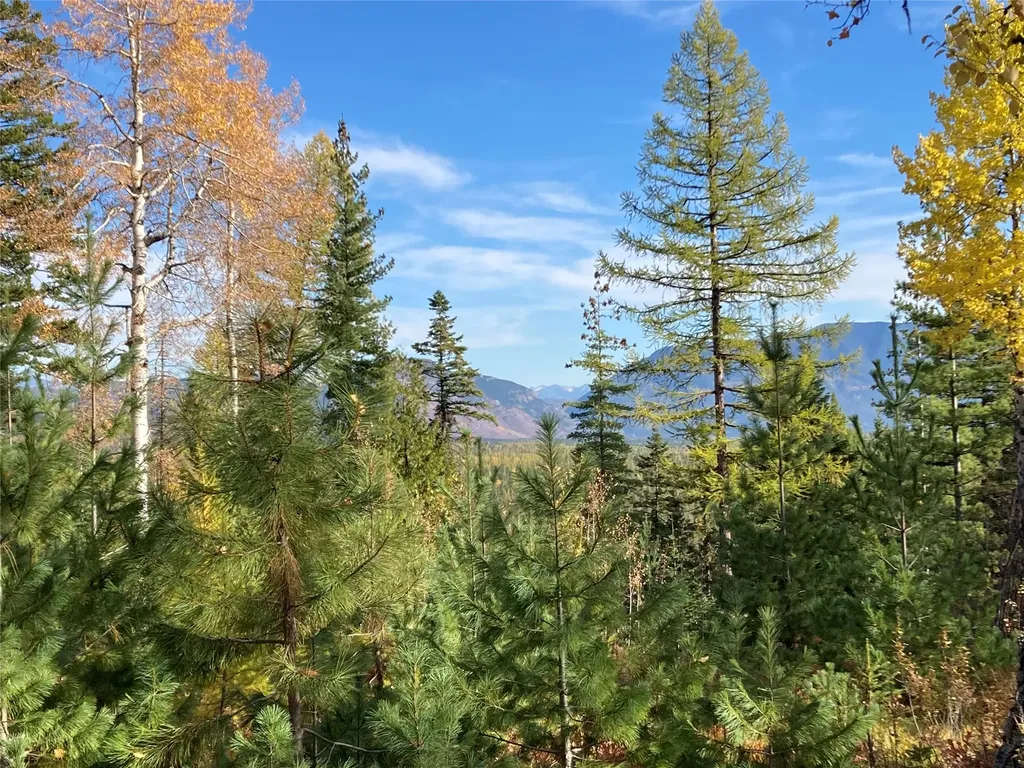 88 Abbey Road Whitefish MT 59937