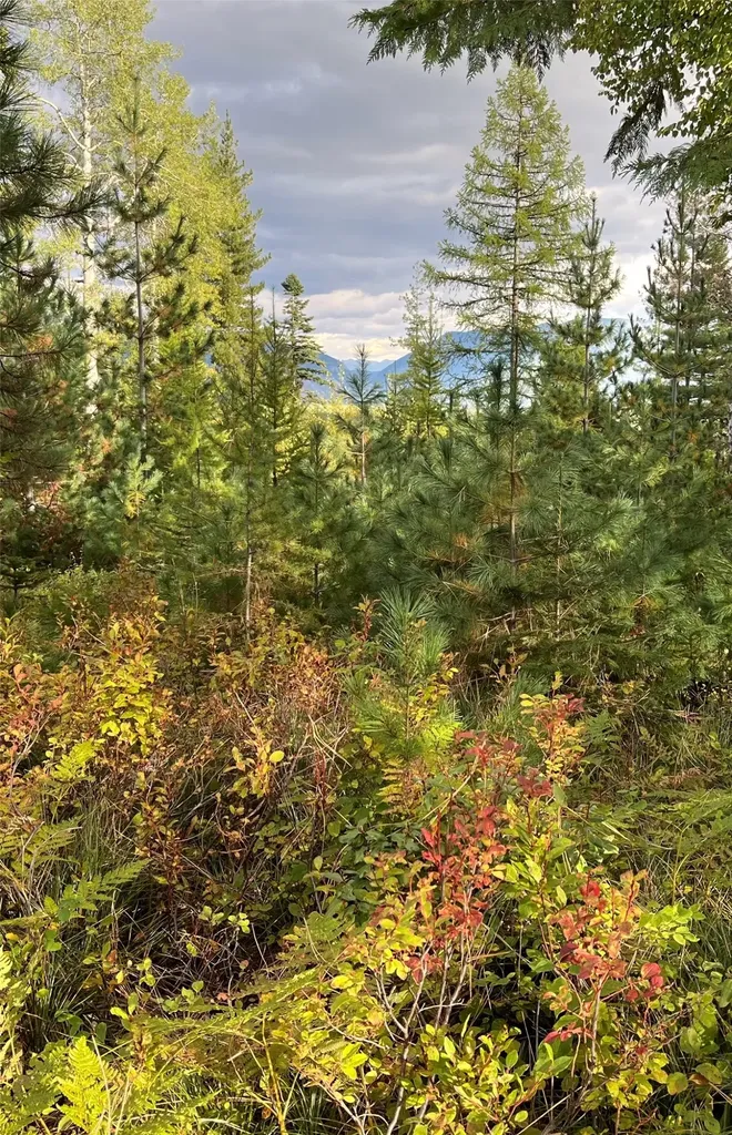 88 Abbey Road Whitefish MT 59937