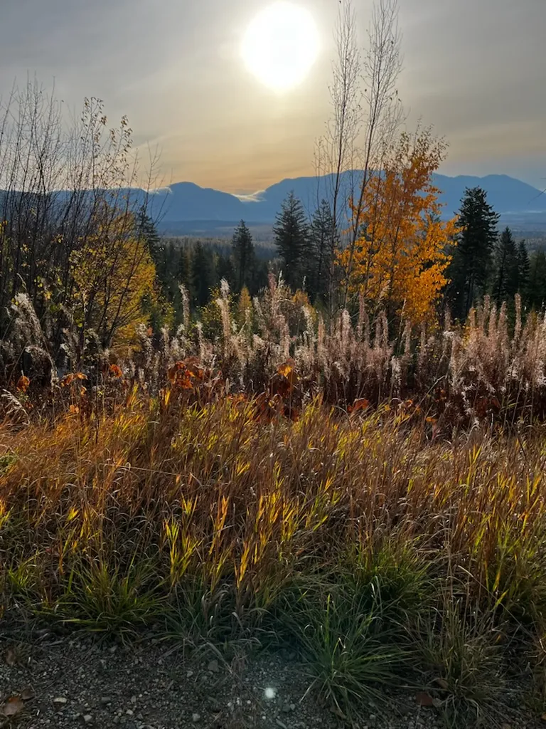 88 Abbey Road Whitefish MT 59937