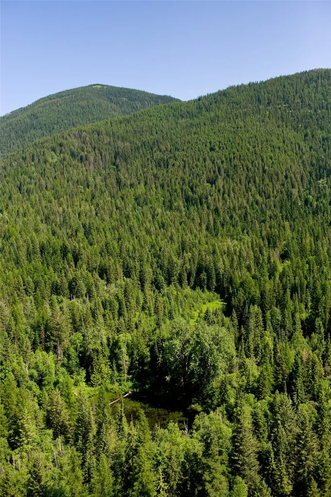 88 Abbey Road Whitefish MT 59937