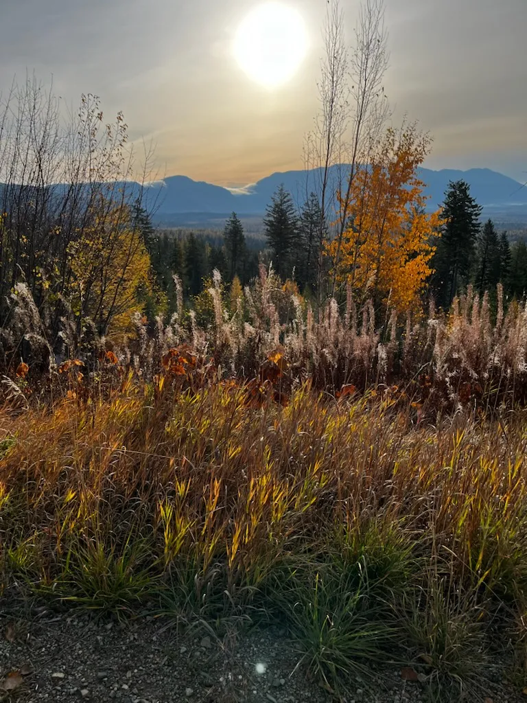 88 Abbey Road Whitefish MT 59937