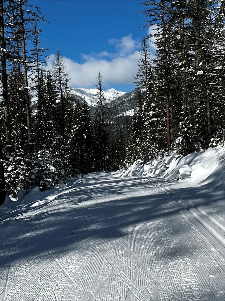 88 Abbey Road Whitefish MT 59937