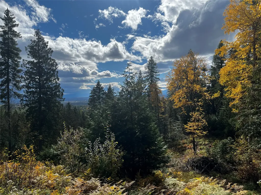 88 Abbey Road Whitefish MT 59937