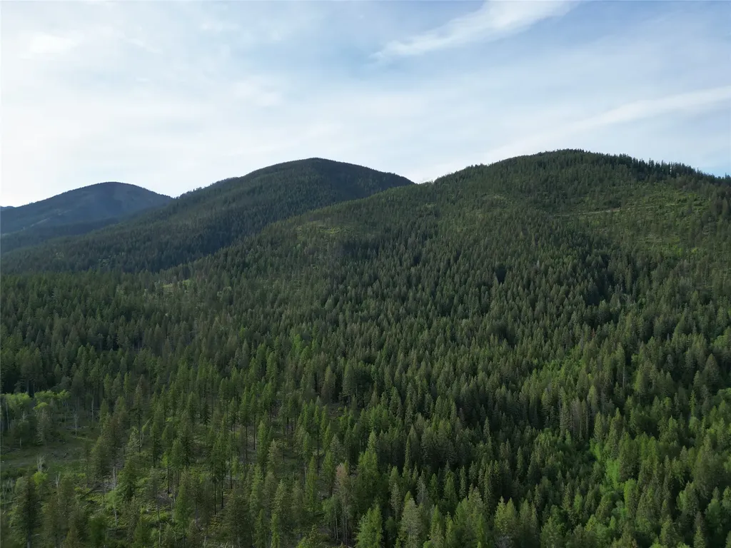 88 Abbey Road Whitefish MT 59937