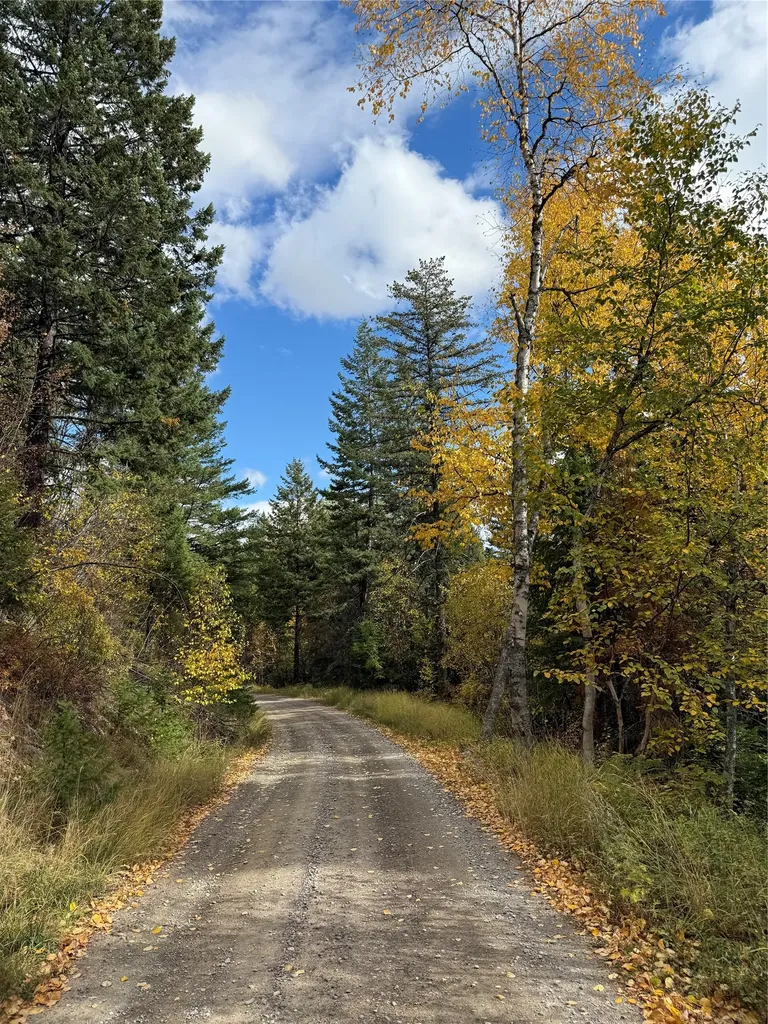 88 Abbey Road Whitefish MT 59937