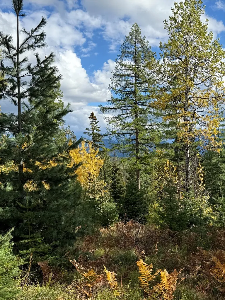88 Abbey Road Whitefish MT 59937