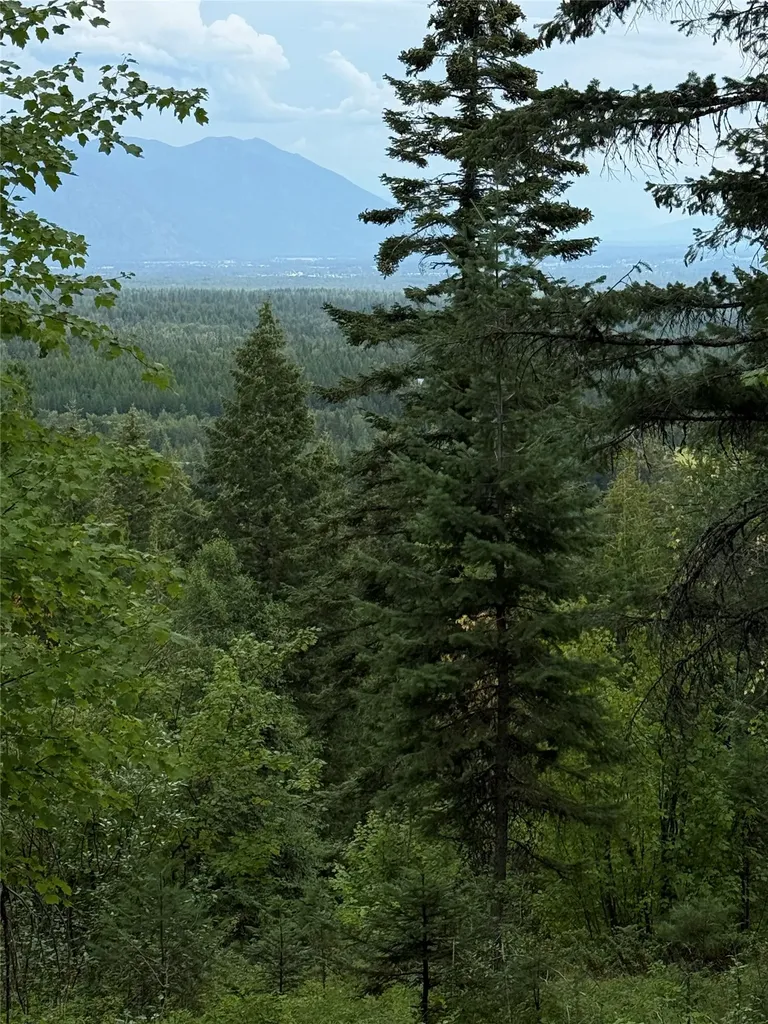 88 Abbey Road Whitefish MT 59937