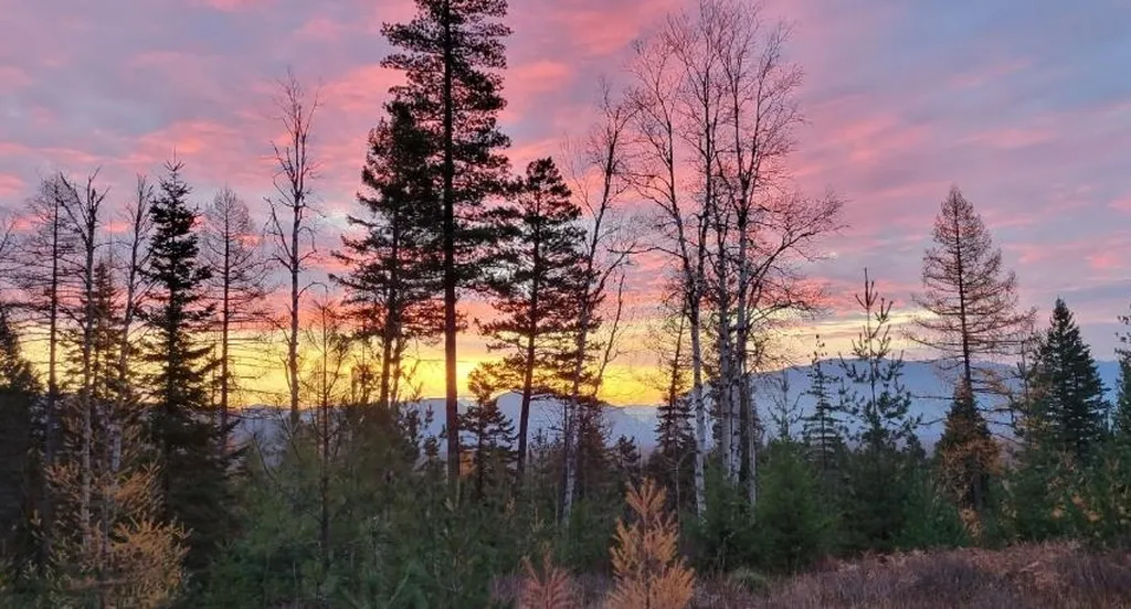 88 Abbey Road Whitefish MT 59937