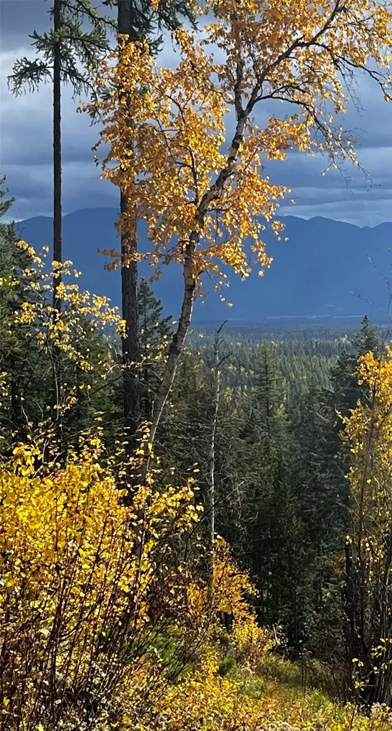 88 Abbey Road Whitefish MT 59937