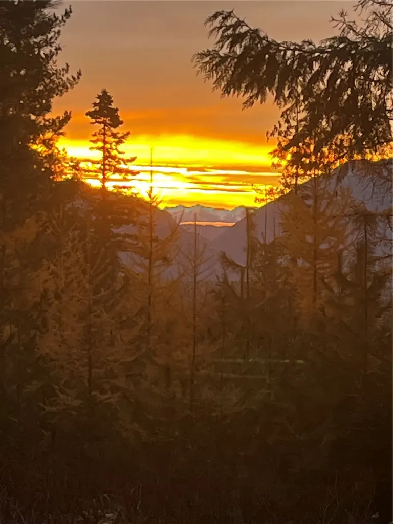 88 Abbey Road Whitefish MT 59937