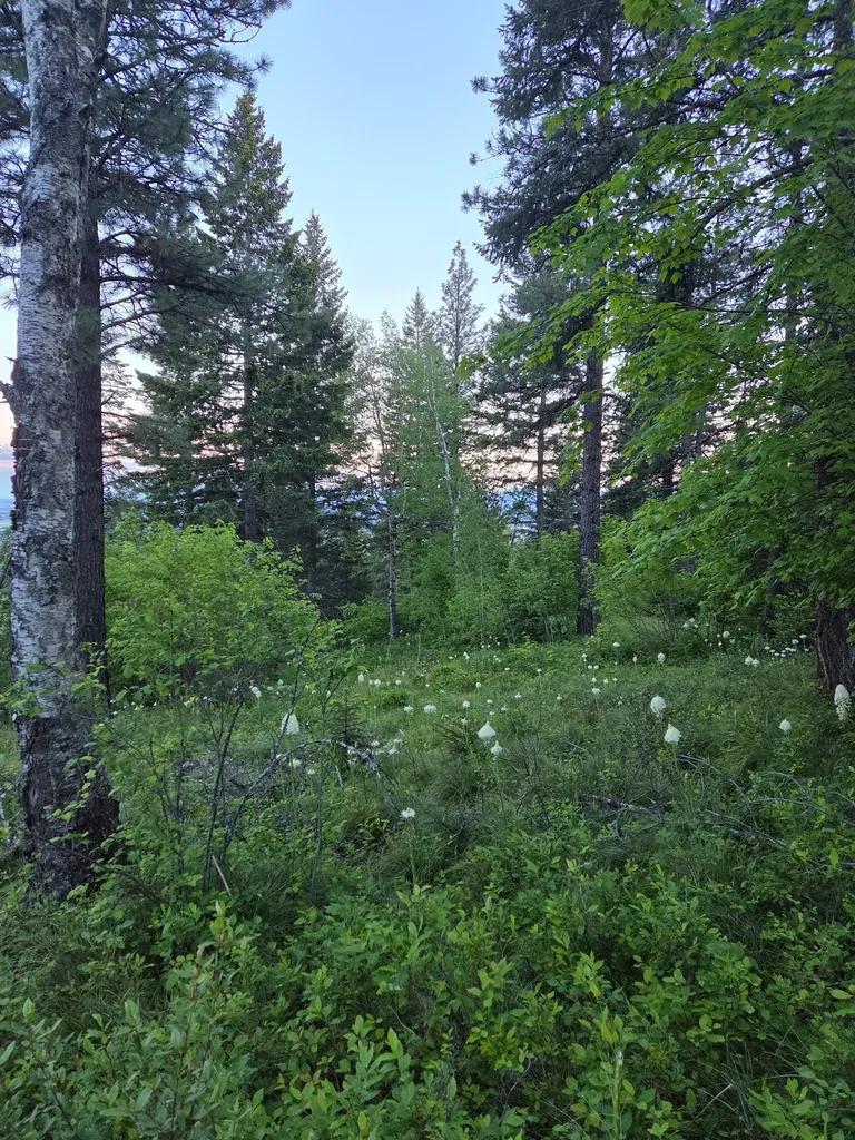 88 Abbey Road Whitefish MT 59937