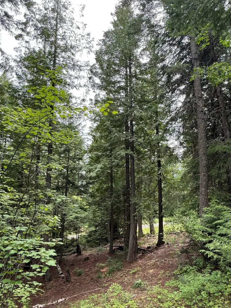 88 Abbey Road Whitefish MT 59937