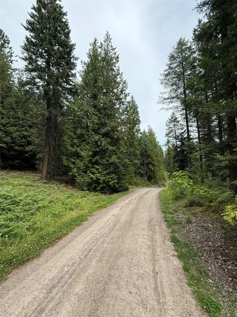 88 Abbey Road Whitefish MT 59937