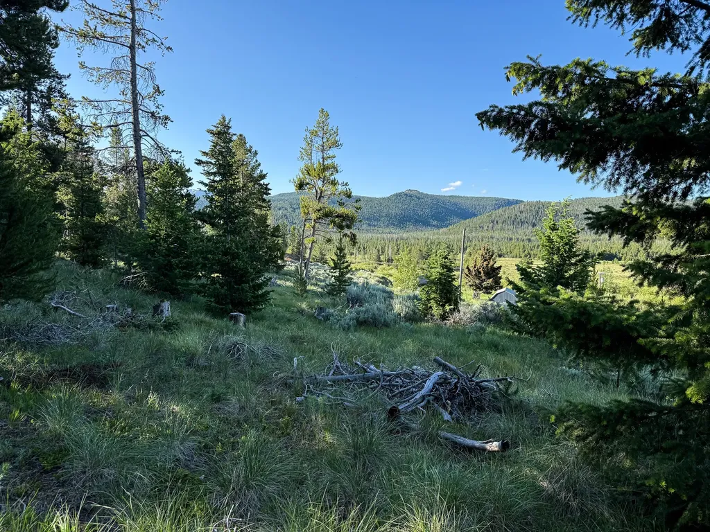 Nhn (1.78+/- Acres) Sunchild Lane Anaconda MT 59711