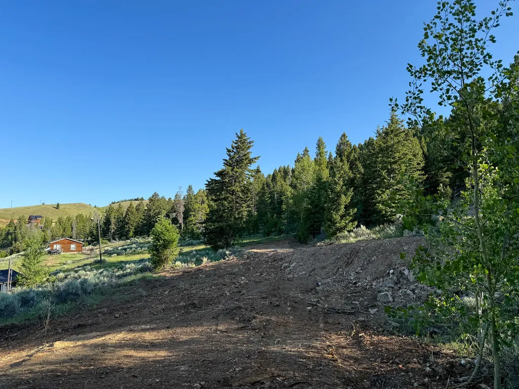 Nhn (1.78+/- Acres) Sunchild Lane Anaconda MT 59711